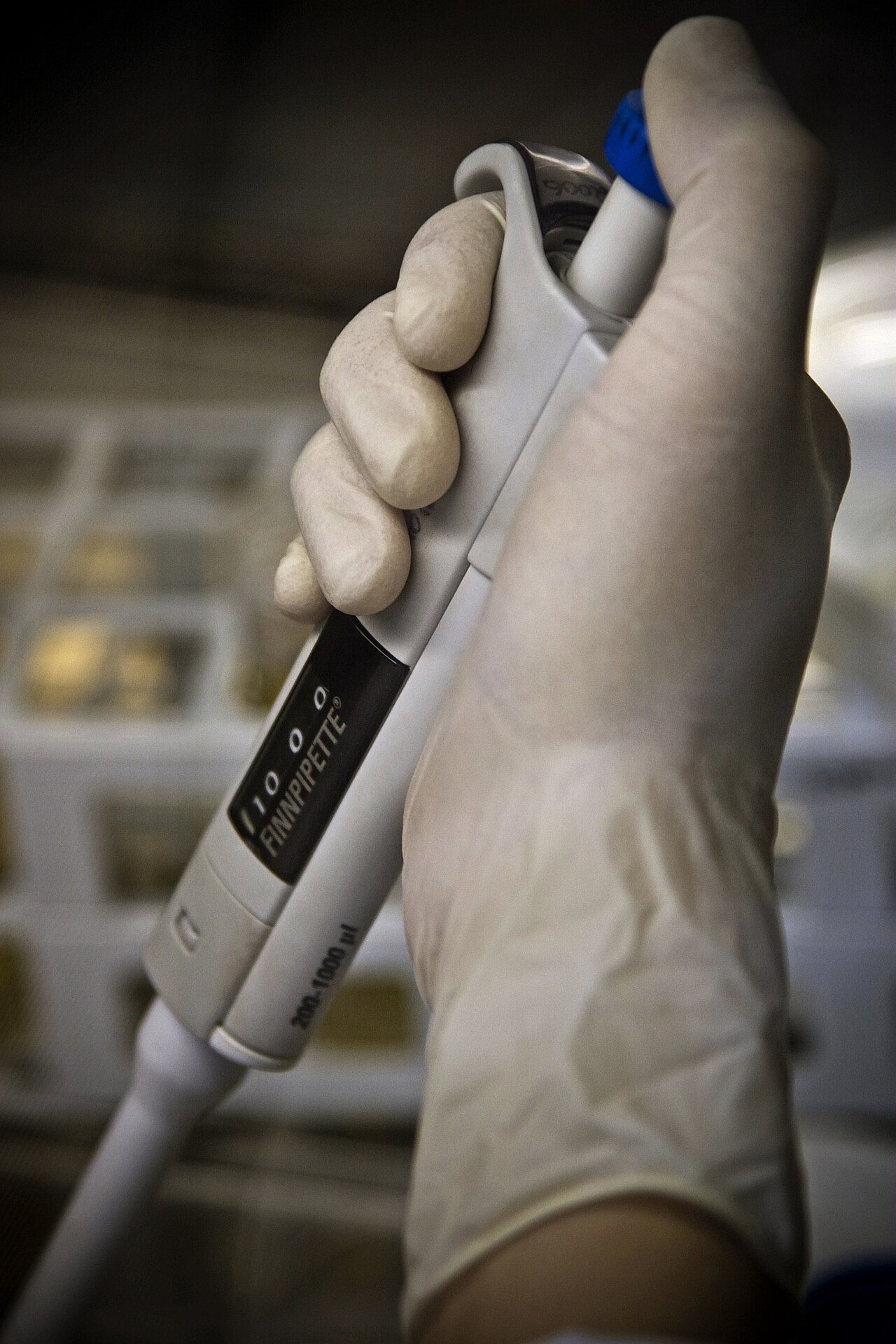 Researcher with pipette